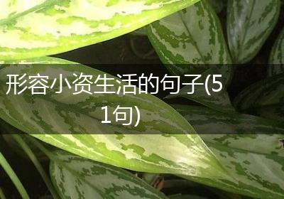 形容小资生活的句子(51句)