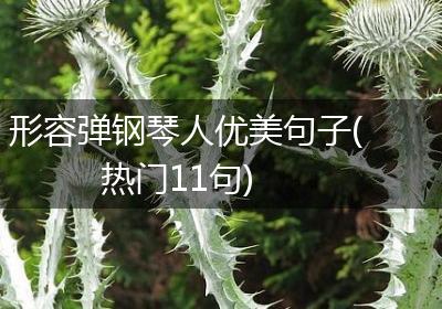 形容弹钢琴人优美句子(热门11句)