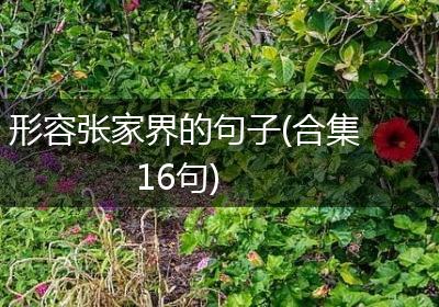 形容张家界的句子(合集16句)