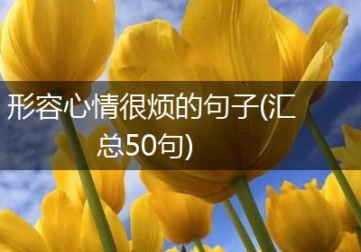 形容心情很烦的句子(汇总50句)