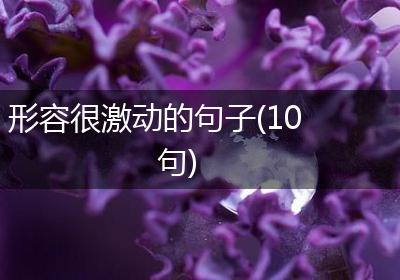 形容很激动的句子(10句)