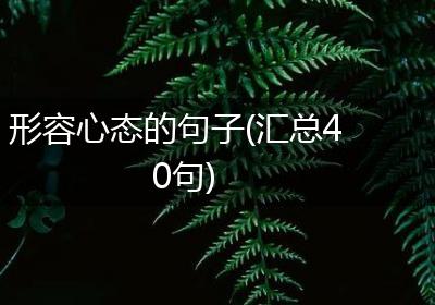 形容心态的句子(汇总40句)
