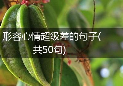 形容心情超级差的句子(共50句)