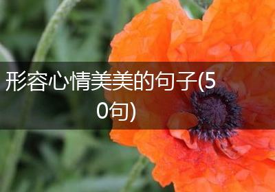 形容心情美美的句子(50句)