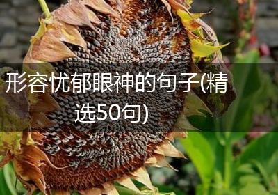 形容忧郁眼神的句子(精选50句)