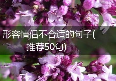 形容情侣不合适的句子(推荐50句)