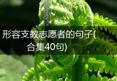 形容支教志愿者的句子(合集40句)