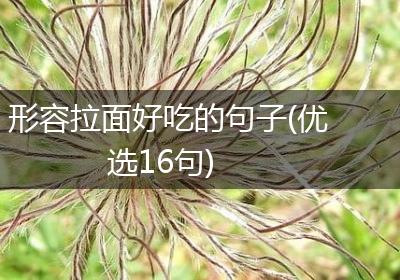 形容拉面好吃的句子(优选16句)