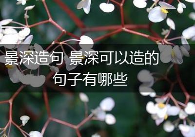 景深造句 景深可以造的句子有哪些