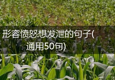 形容愤怒想发泄的句子(通用50句)