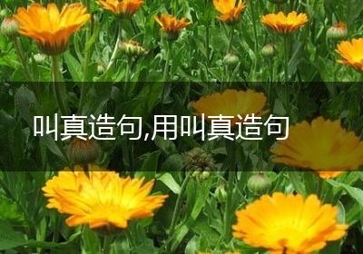 叫真造句,用叫真造句
