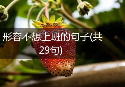 形容不想上班的句子(共29句)