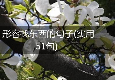 形容找东西的句子(实用51句)