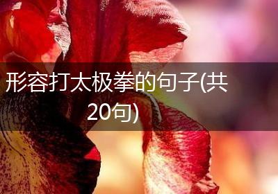 形容打太极拳的句子(共20句)