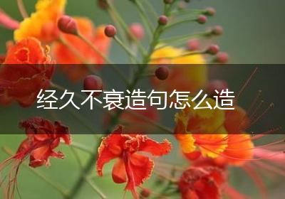 经久不衰造句怎么造