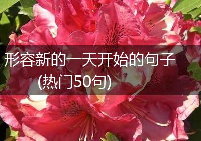 形容新的一天开始的句子(热门50句)