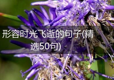形容时光飞逝的句子(精选50句)