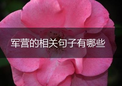 军营的相关句子有哪些
