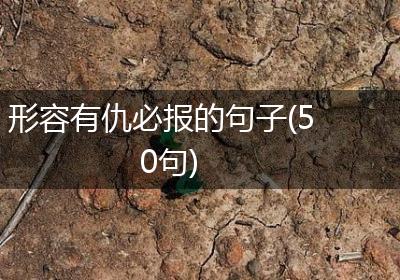形容有仇必报的句子(50句)