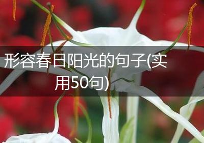 形容春日阳光的句子(实用50句)