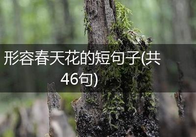 形容春天花的短句子(共46句)