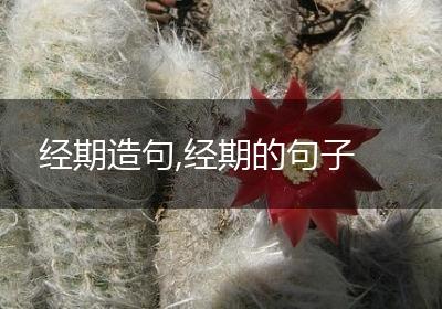 经期造句,经期的句子