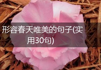 形容春天唯美的句子(实用30句)