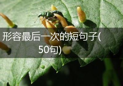 形容最后一次的短句子(50句)