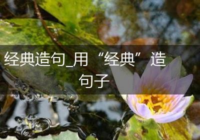 经典造句_用“经典”造句子