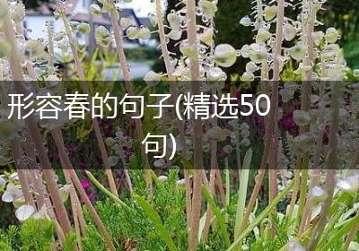 形容春的句子(精选50句)