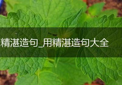 精湛造句_用精湛造句大全