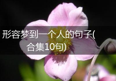 形容梦到一个人的句子(合集10句)
