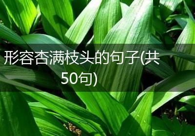 形容杏满枝头的句子(共50句)