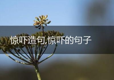 惊吓造句,惊吓的句子