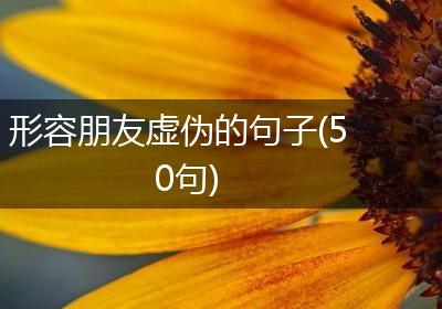形容朋友虚伪的句子(50句)
