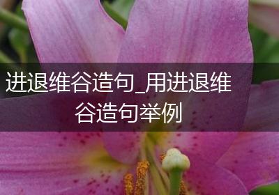 进退维谷造句_用进退维谷造句举例