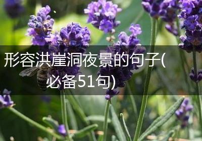 形容洪崖洞夜景的句子(必备51句)