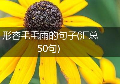 形容毛毛雨的句子(汇总50句)