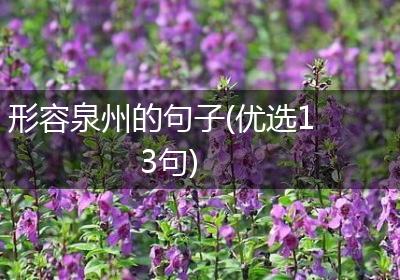 形容泉州的句子(优选13句)