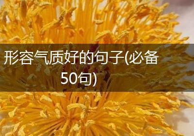 形容气质好的句子(必备50句)