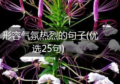 形容气氛热烈的句子(优选25句)