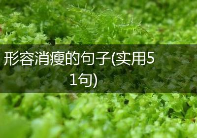 形容消瘦的句子(实用51句)