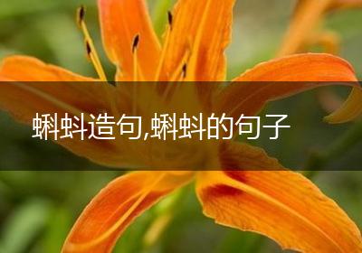 蝌蚪造句,蝌蚪的句子