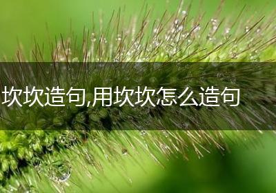 坎坎造句,用坎坎怎么造句