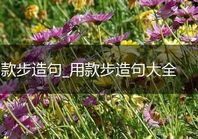 款步造句_用款步造句大全