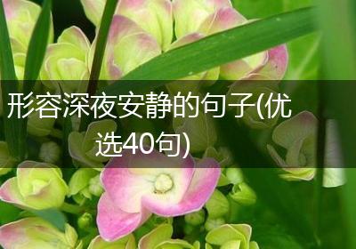 形容深夜安静的句子(优选40句)