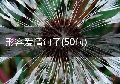 形容爱情句子(50句)