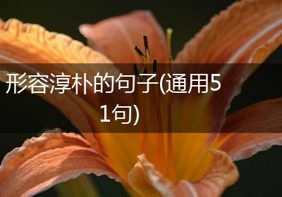 形容淳朴的句子(通用51句)