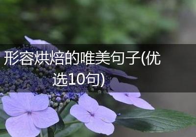 形容烘焙的唯美句子(优选10句)