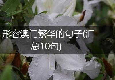 形容澳门繁华的句子(汇总10句)